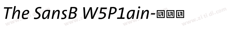 The SansB W5P1ain字体转换